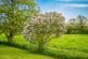 Additional image 25 of Brimfield, Ludlow, SY8