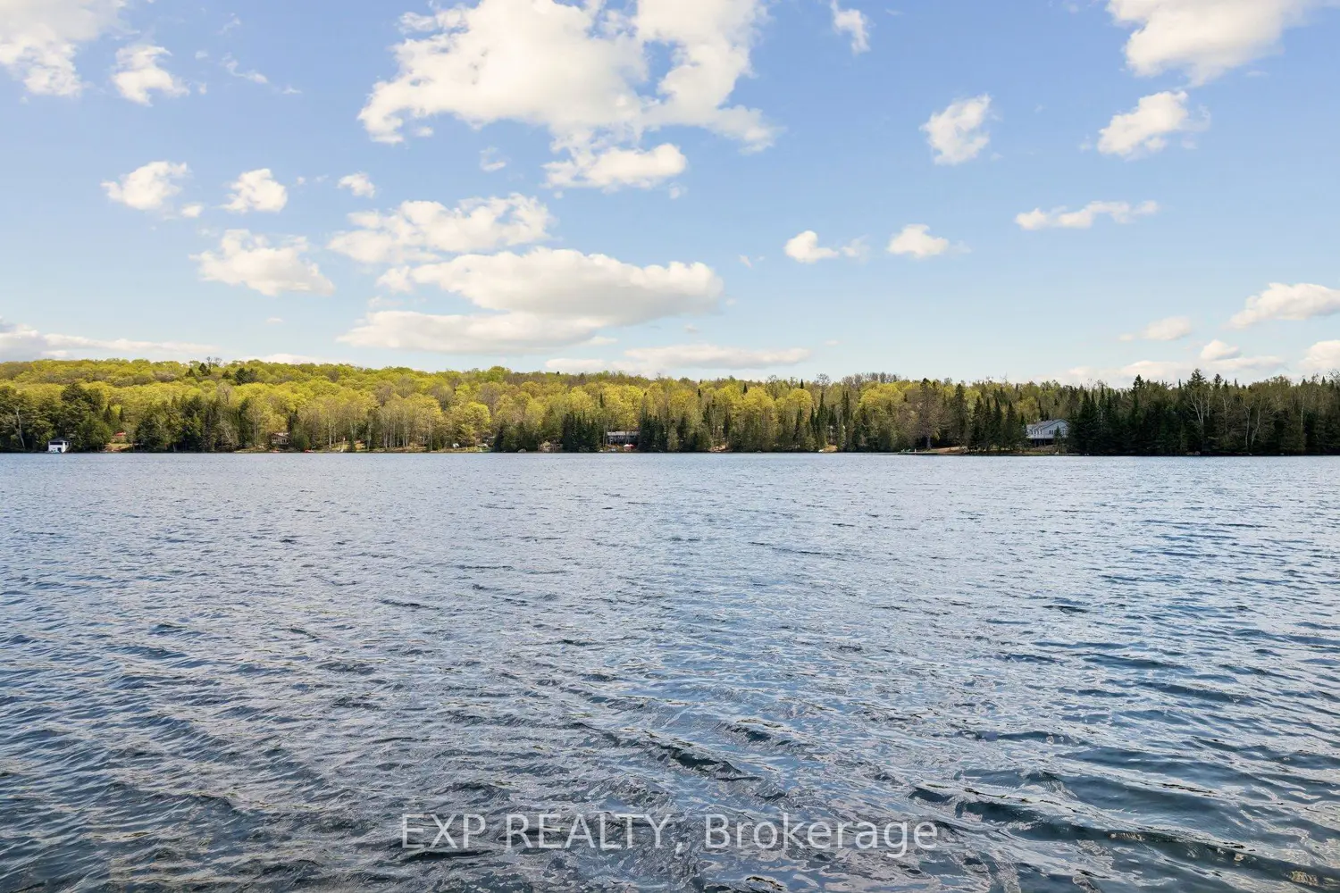 Additional image 20 of 1216 Lake Lorraine (Tory Lake) Lane