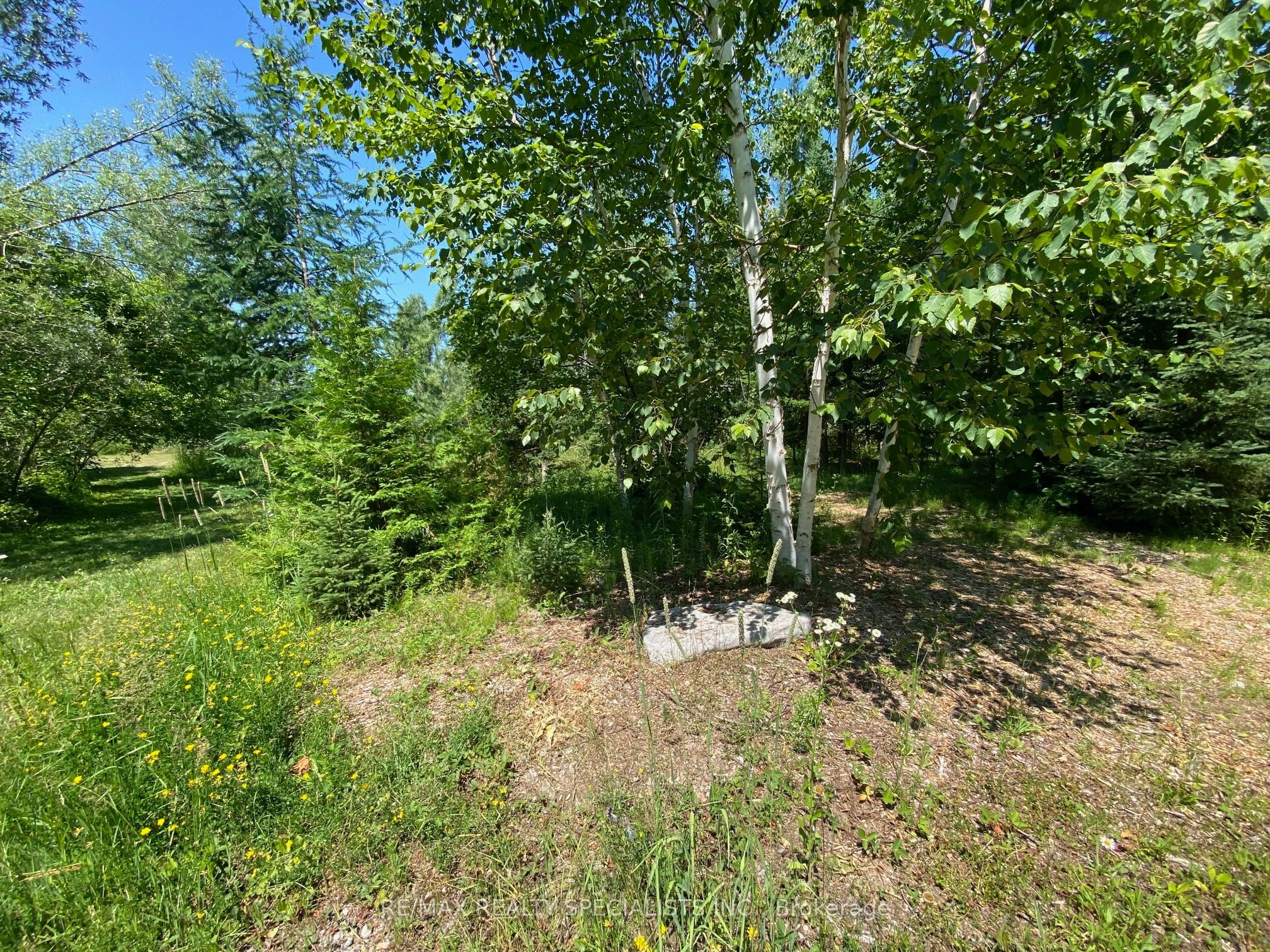 Additional image 4 of LT12&13 Otter Road, Kawartha Lakes, ON, K0M 1K0