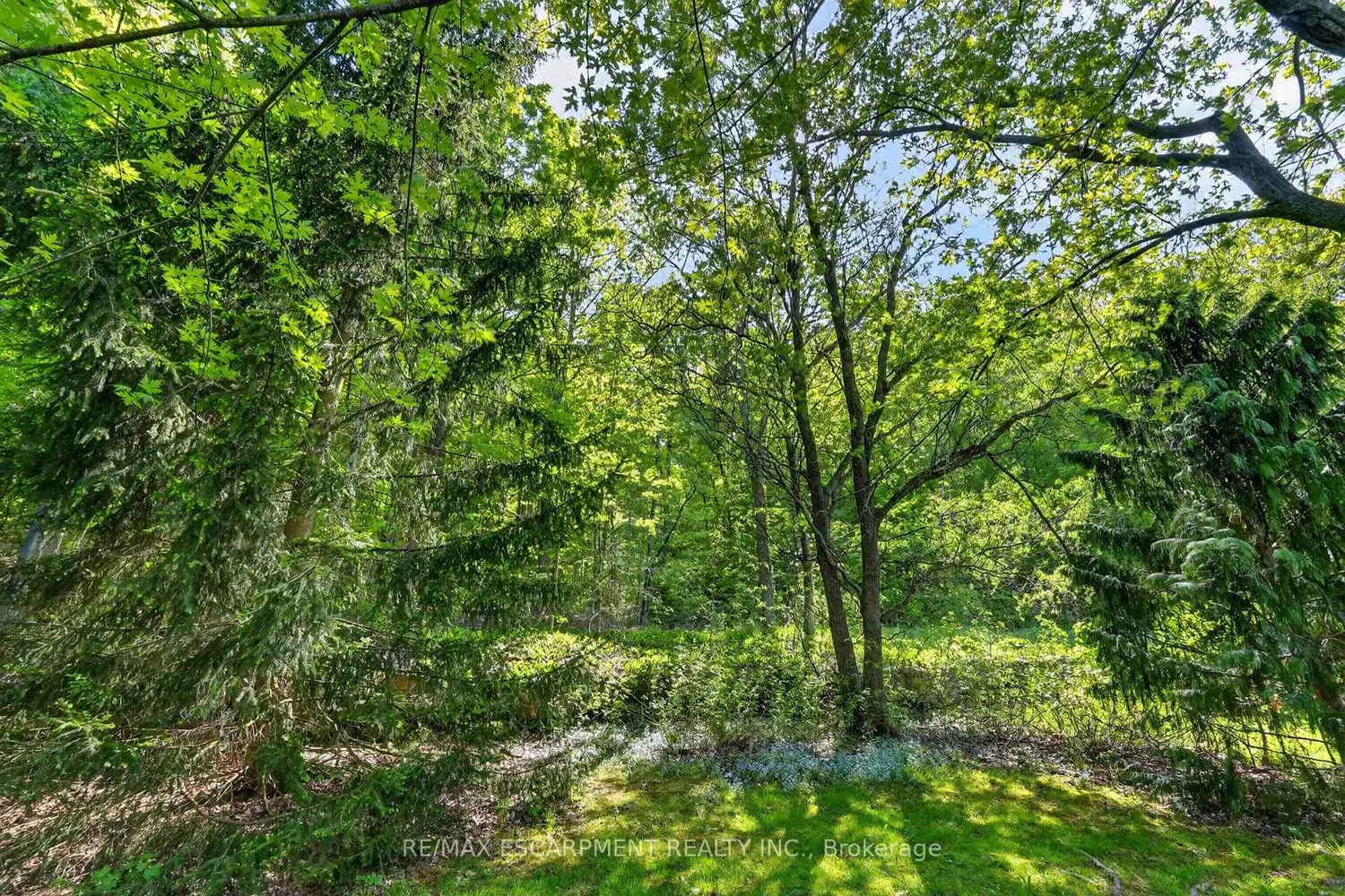 Additional image 18 of 144 Dorchester Drive