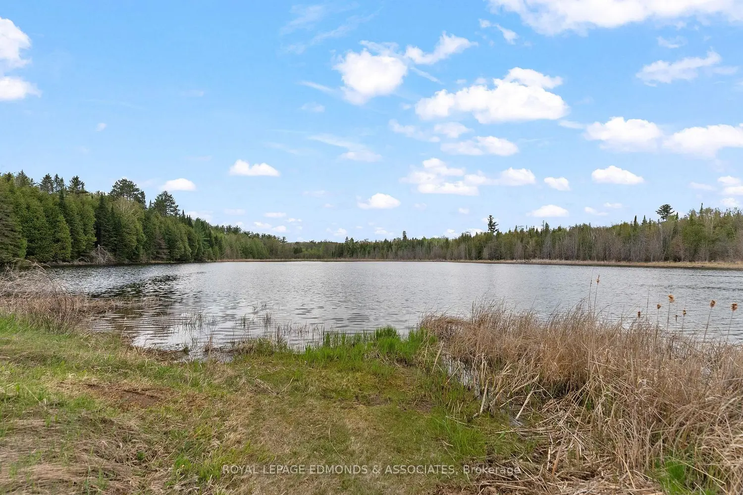 Additional image 12 of 164 Garden Lake Trail