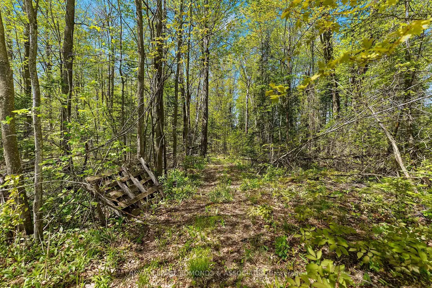 Additional image 13 of 346 Hila Road