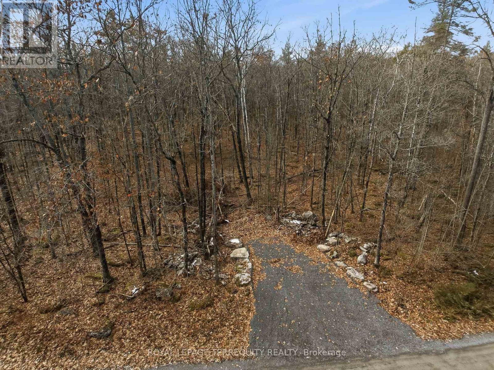 64 MAPLE ROAD