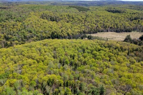 Additional image 9 of PT LT 26 CON 17 CARDIFF Hwy #648 (loop) Road, Highlands East, ON, K0L 2A0