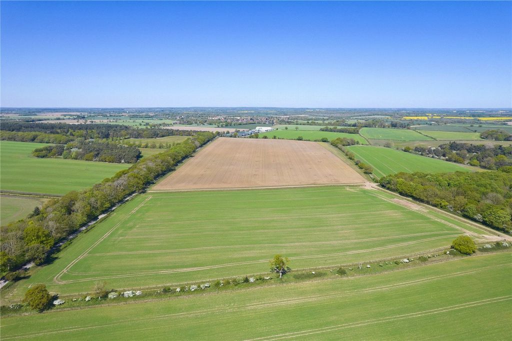 Additional image 4 of Land for salePark Farm, Bylaugh, Dereham, Norfolk NR20