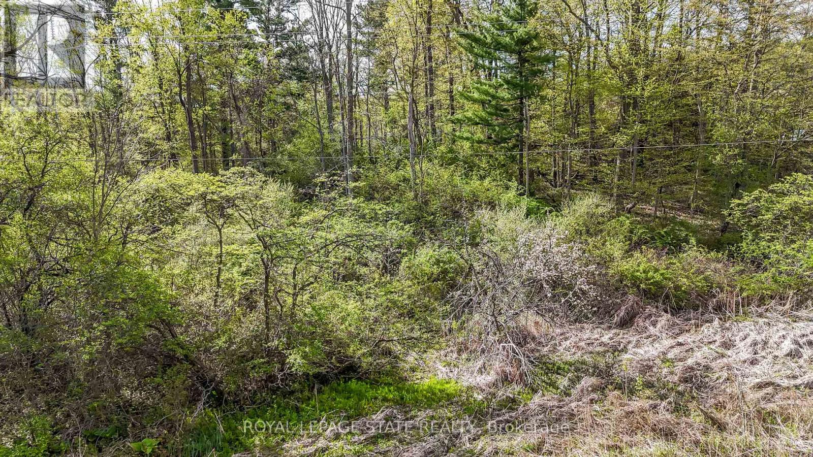 0 MINERAL SPRINGS ROAD