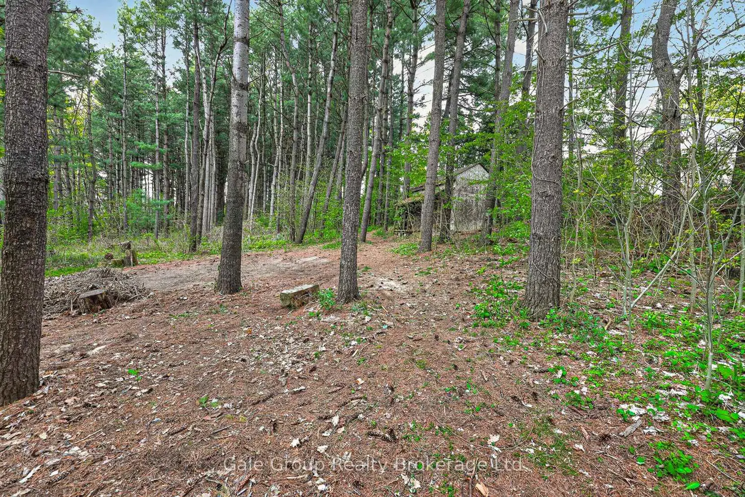Additional image 19 of 1 Summit Crescent