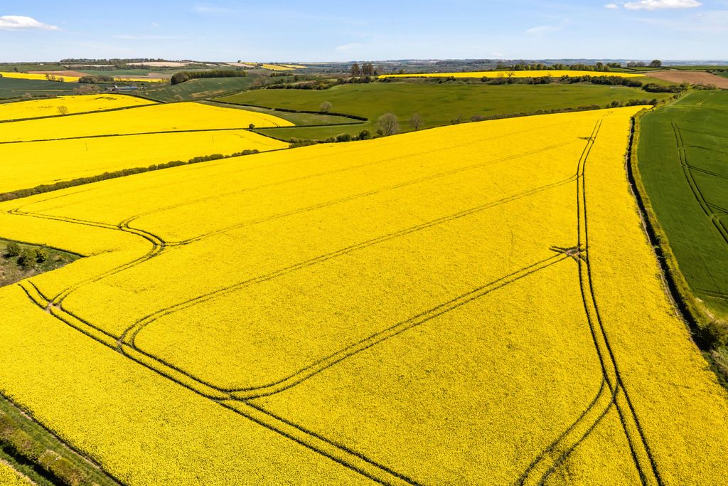 Additional image 21 of Land for saleGlebe Farm | Whole, Oxcombe Road, Belchford, Horncastle LN9