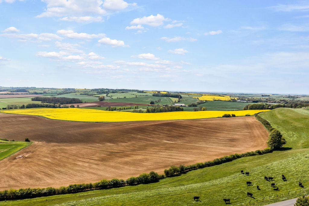 Additional image 4 of Land for saleGlebe Farm | Lot 3, Oxcombe Road, Belchford, Horncastle LN9