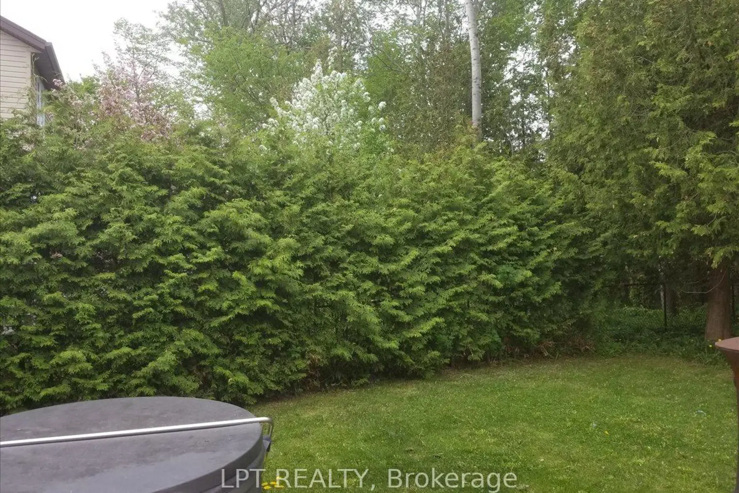Additional image 19 of 62 Williams Street