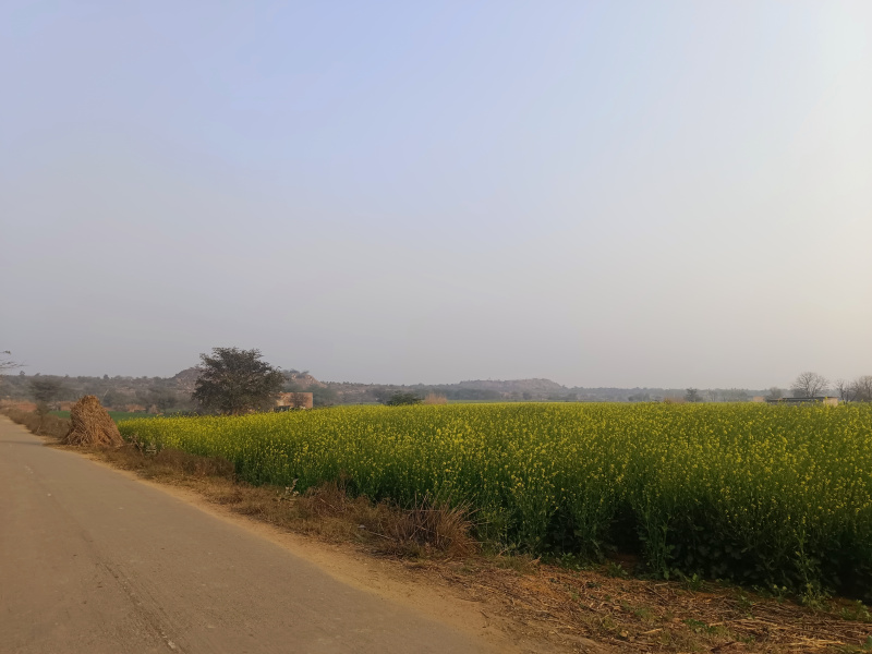 Additional image 3 of Sohna, Gurgaon