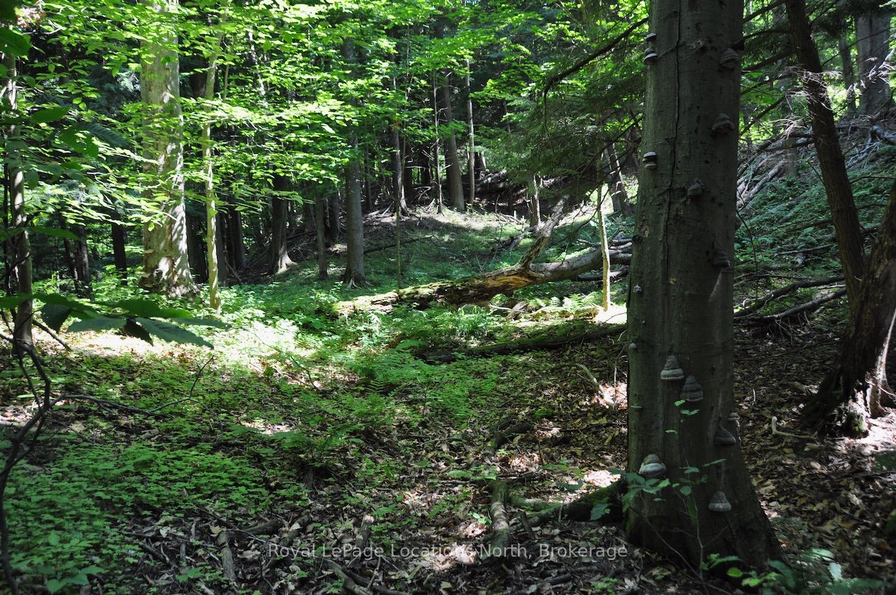 Additional image 5 of LOT 21 Bayshore Road, Meaford, ON, N0H 1B0