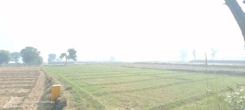 Additional image 3 of Fatehabad Road, Agra