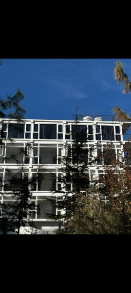 Kufri, Shimla