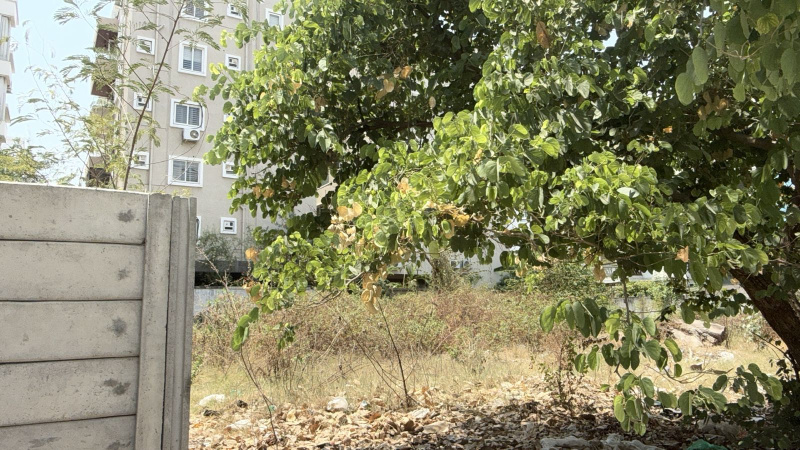 Hafeezpet, Hyderabad