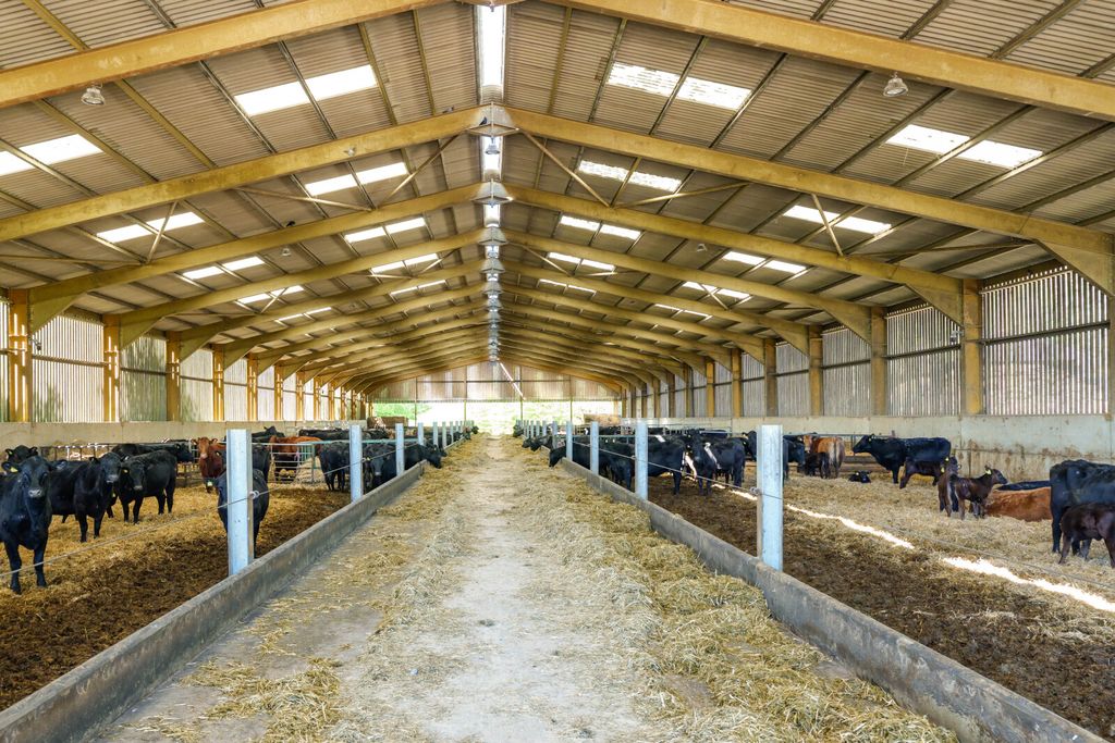 Additional image 9 of Land for saleGlebe Farm | Whole, Oxcombe Road, Belchford, Horncastle LN9