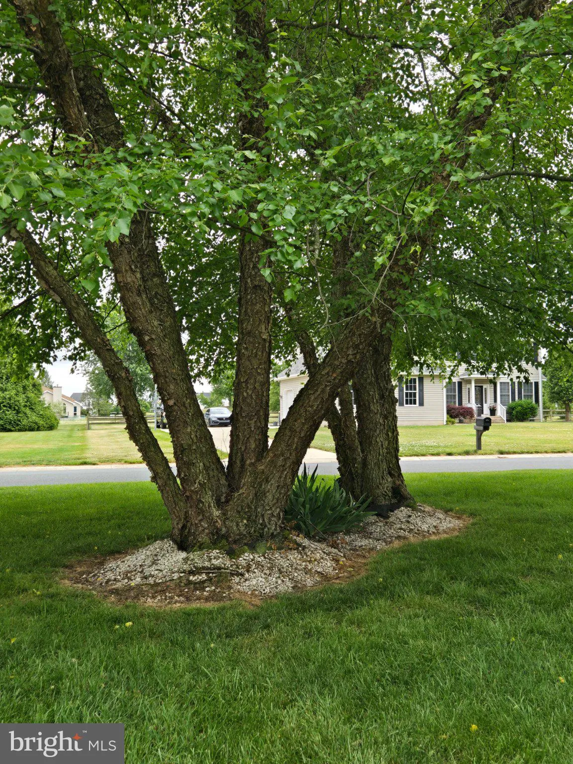 Additional image 113 of 347 Golf Links Ln, Magnolia, DE 19962