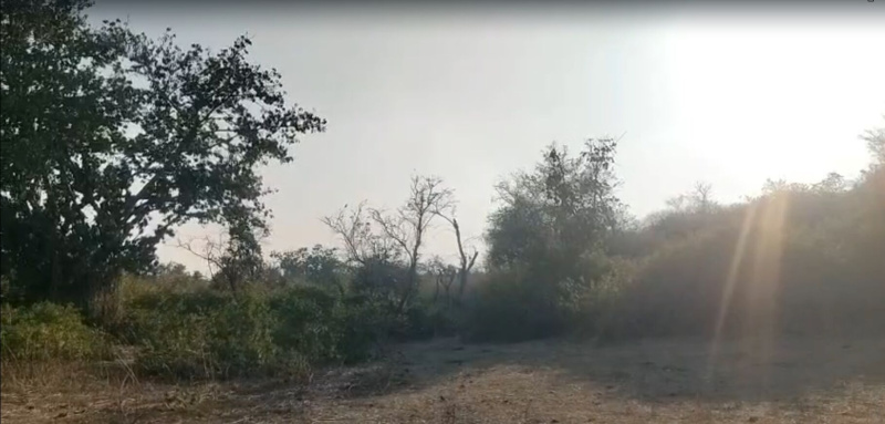Kurabad, Udaipur
