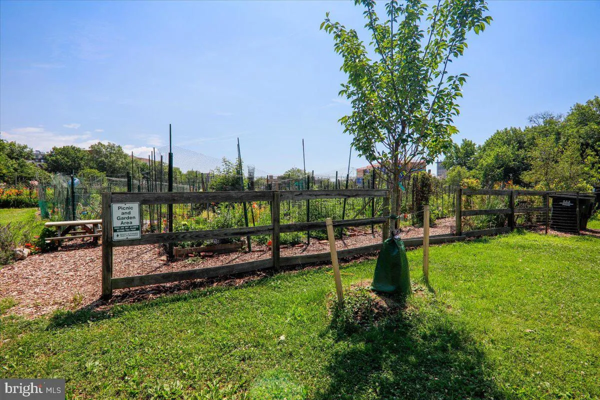 Additional image 85 of 3621 39th Street NW Unit E323, Washington, DC 20016