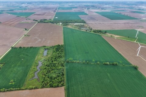 Additional image 8 of 21144 Stevenson Road, Chatham-kent, ON, N0P 1H0