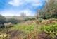 Additional image 14 of Mosswood, Consett DH8