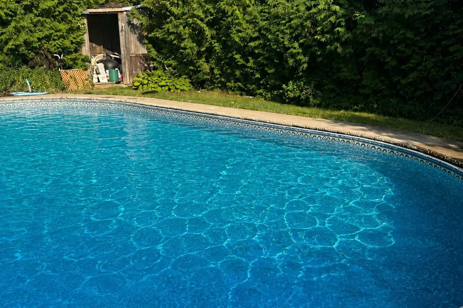 61 Exeter Drive photo 5