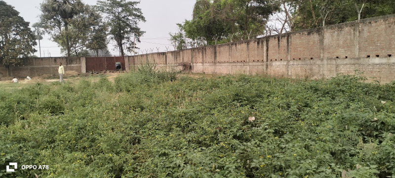 Additional image 3 of Hardas Bigha, Patna