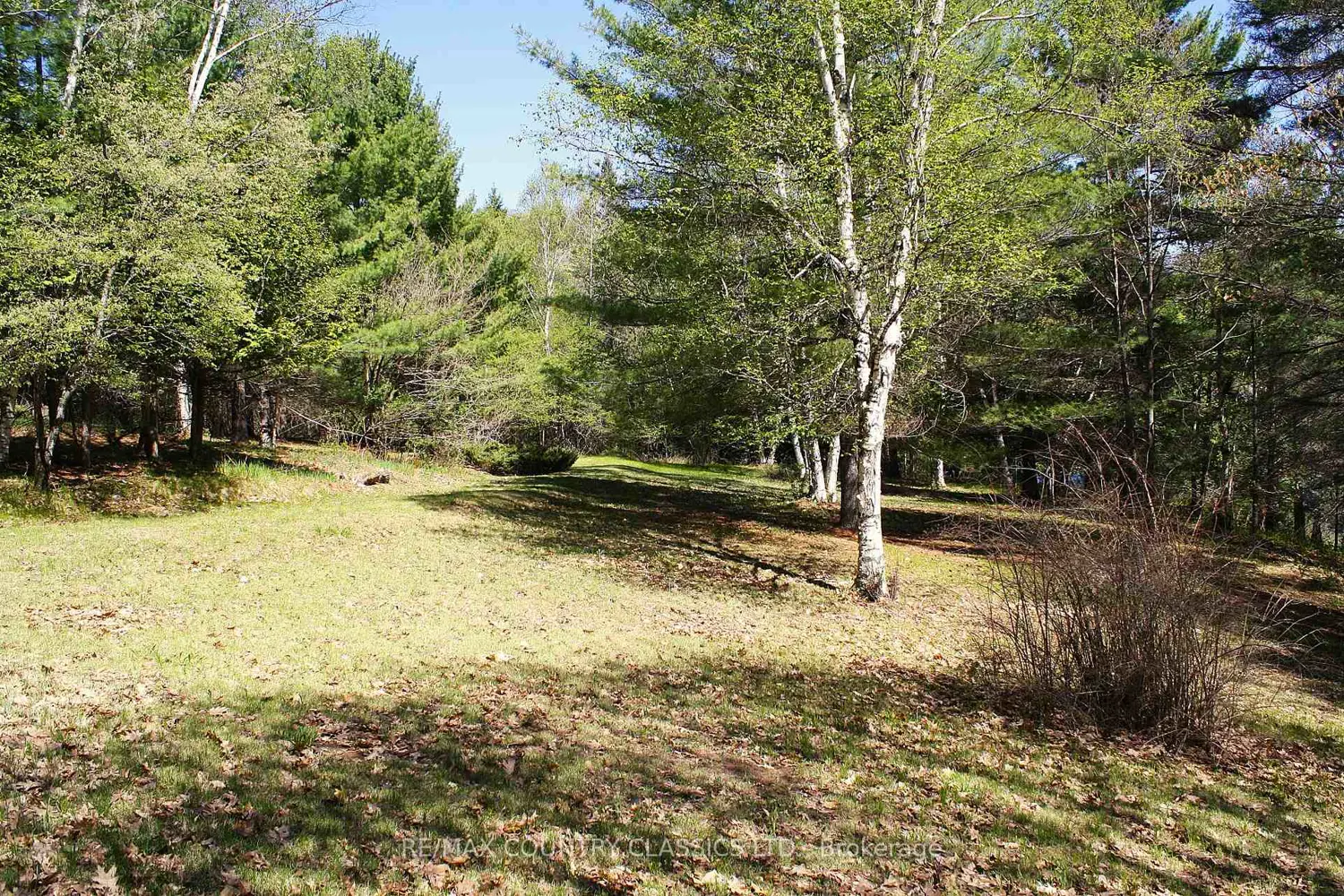 Additional image 19 of 1060 Little Ireland Road
