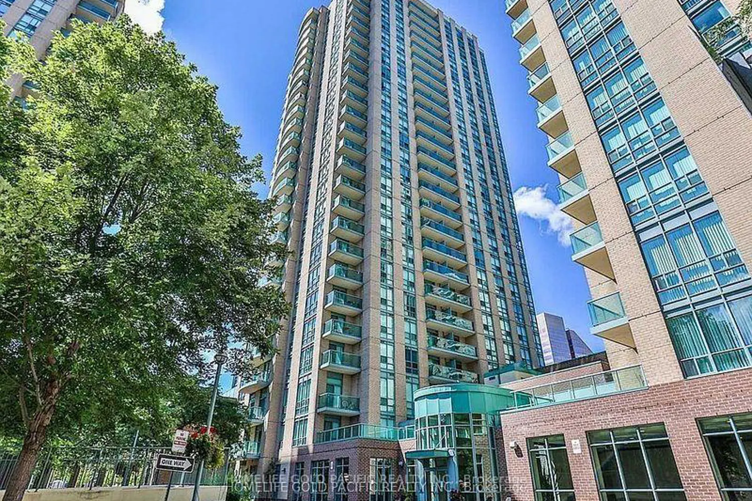 22 Olive Avenue 2508 photo 4