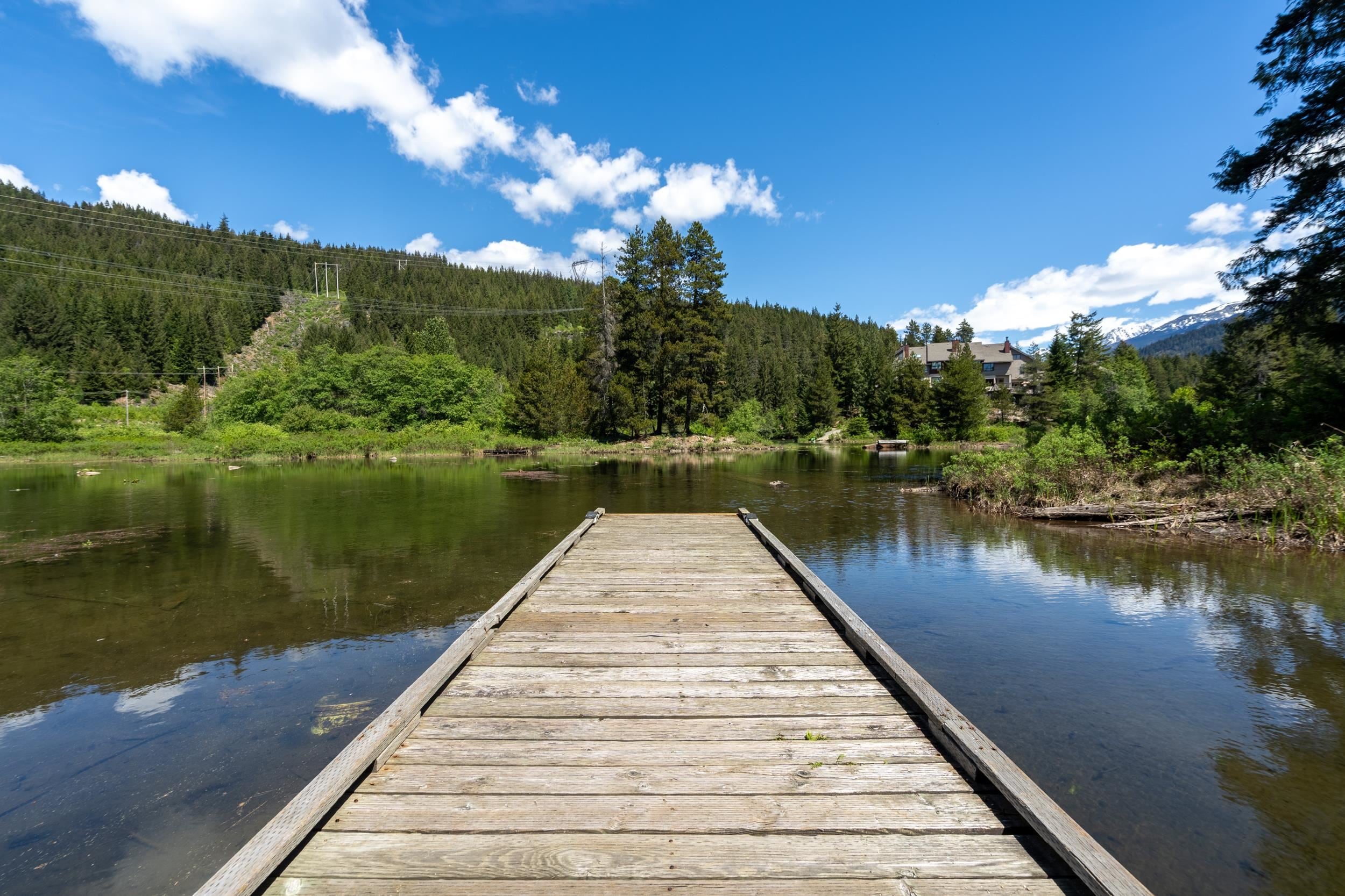 Additional image 3 of H203-1400 Alta Lake Road, Whistler, BC, V8E 0G9