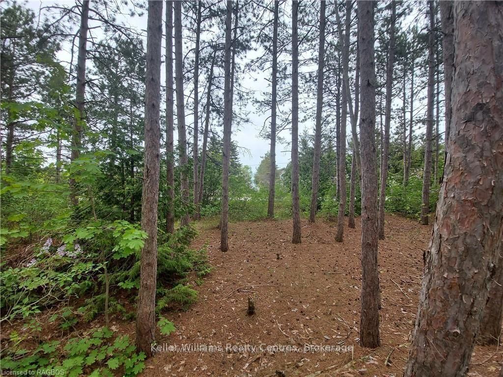 Additional image 5 of PT LT 40 Presqu'ile Road, Georgian Bluffs, ON, N0H 1S0