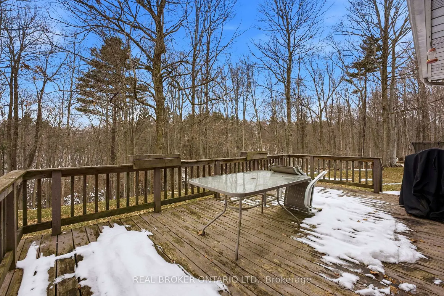 Additional image 16 of 10475 Plank Road