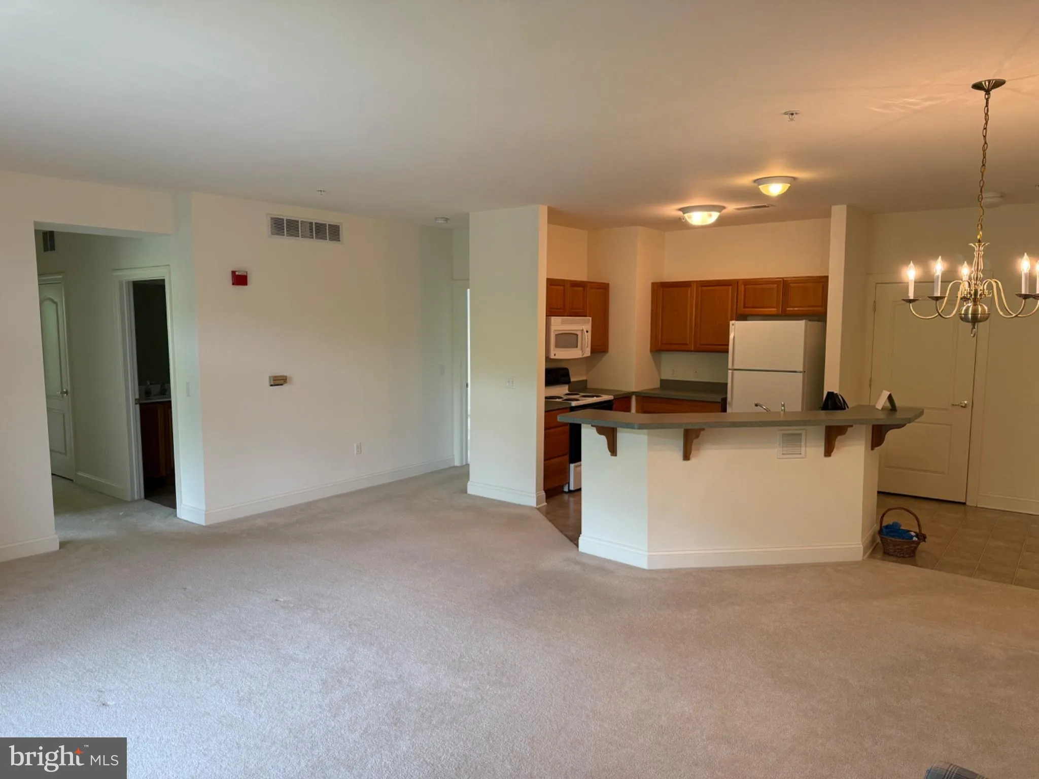 Additional image 54 of 1000 Fountainview Circle Unit 1301, Newark, DE 19713