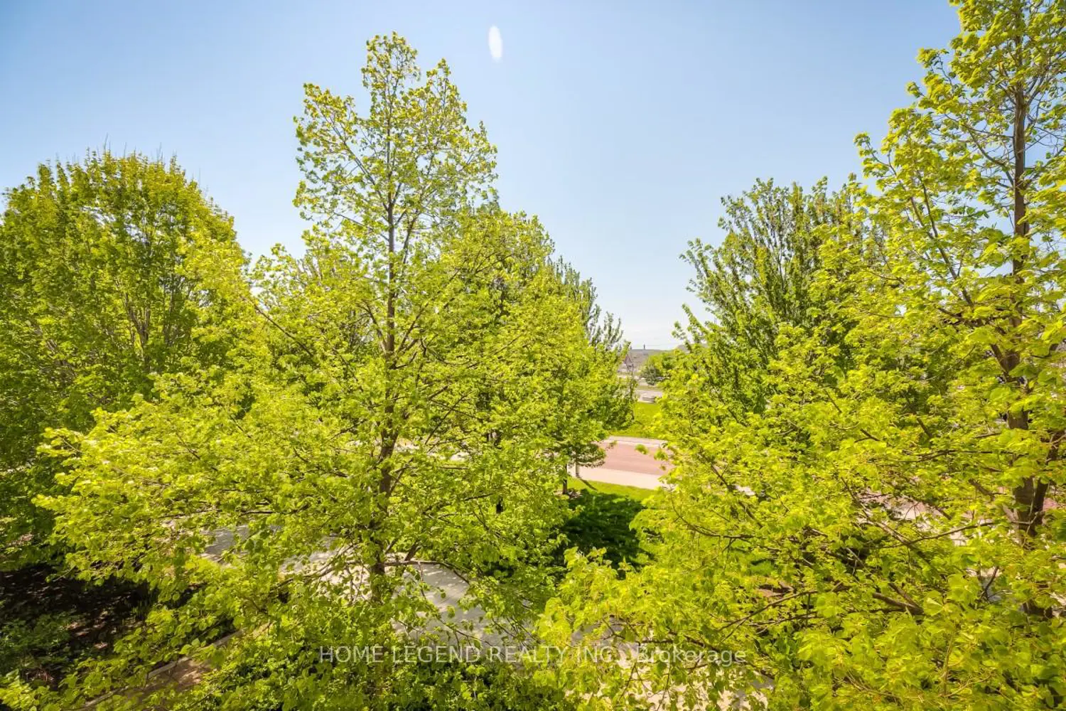 Additional image 12 of 39 Upper Duke Crescent 215