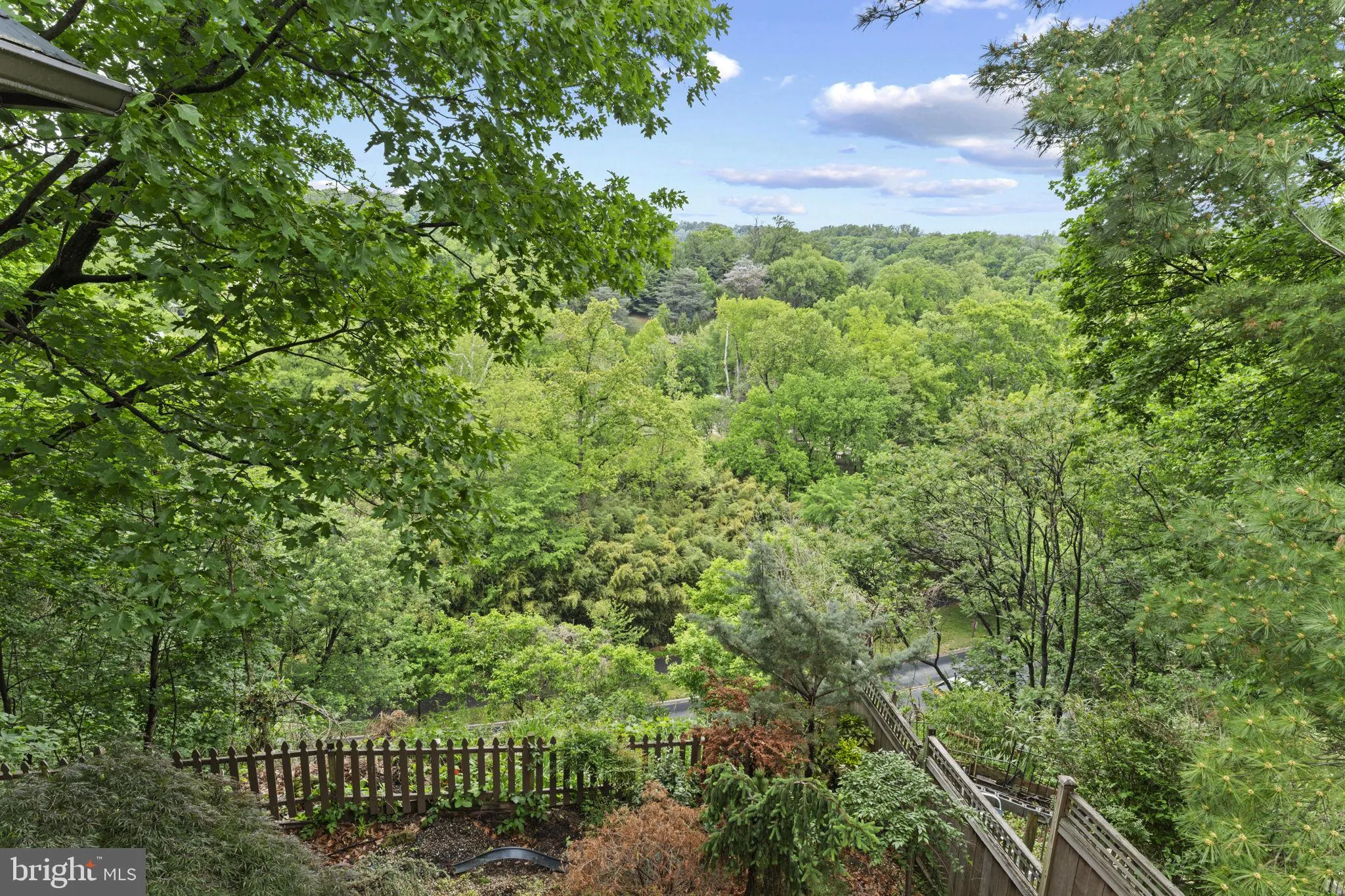 Additional image 48 of 2812 Adams Mill Road NW, Washington, DC 20009