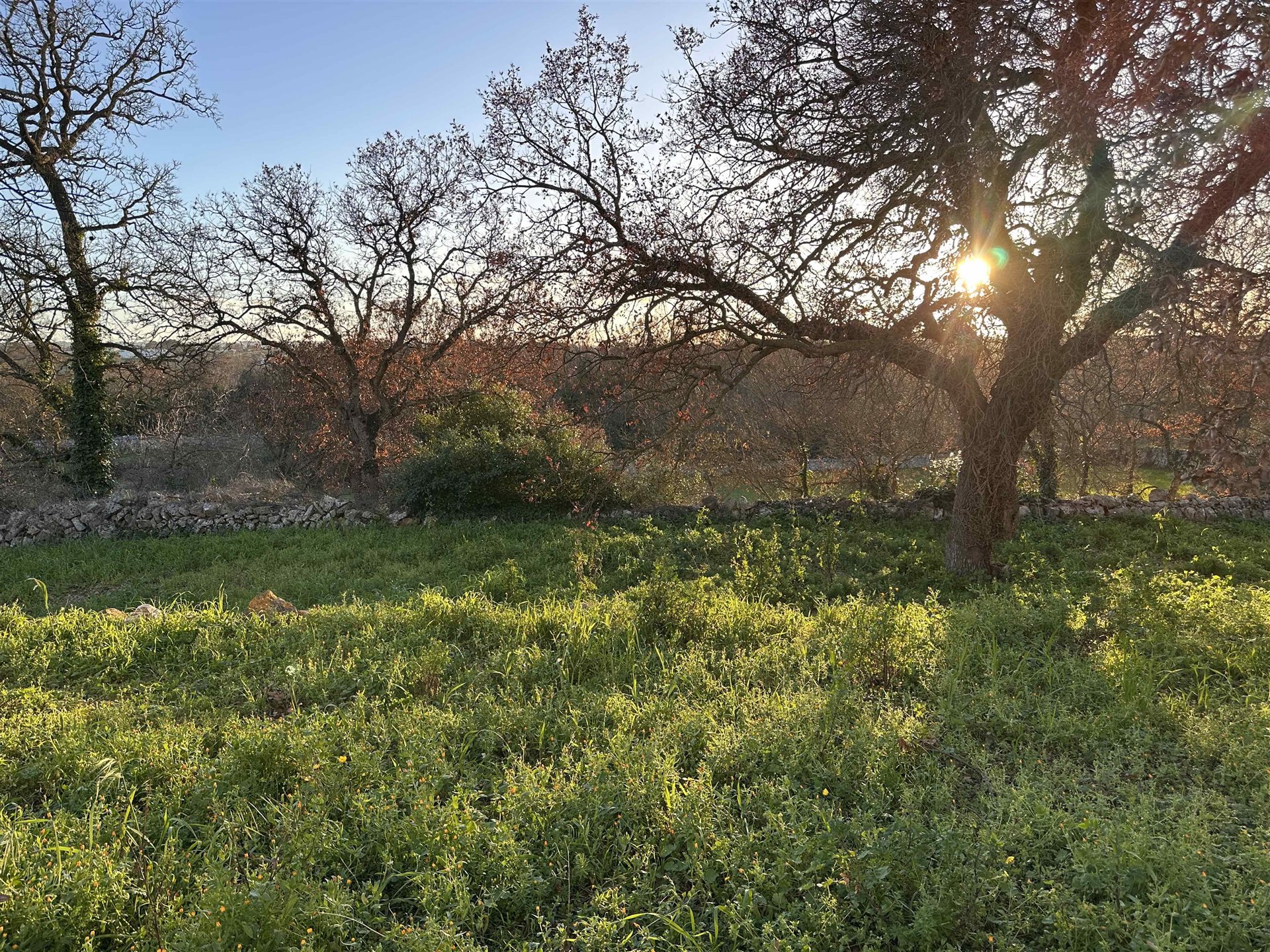 Additional image 3 of Cisternino (Provincia di Brindisi)