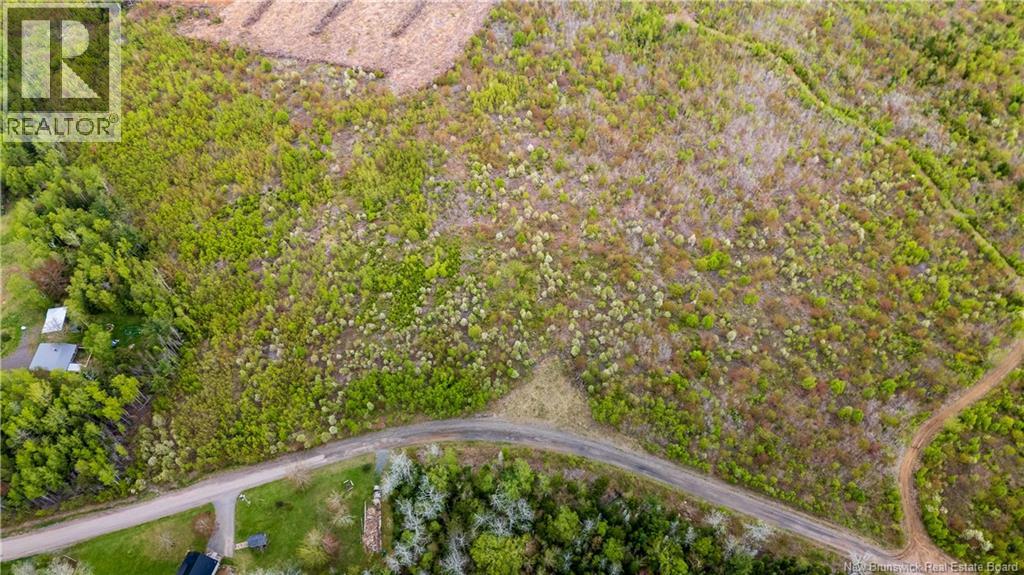 LOT 37 Davidson Road