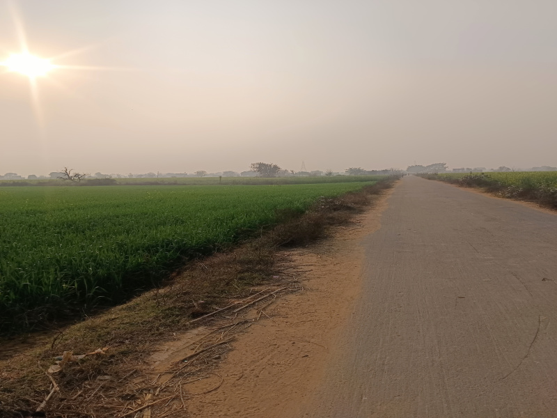 Sohna, Gurgaon