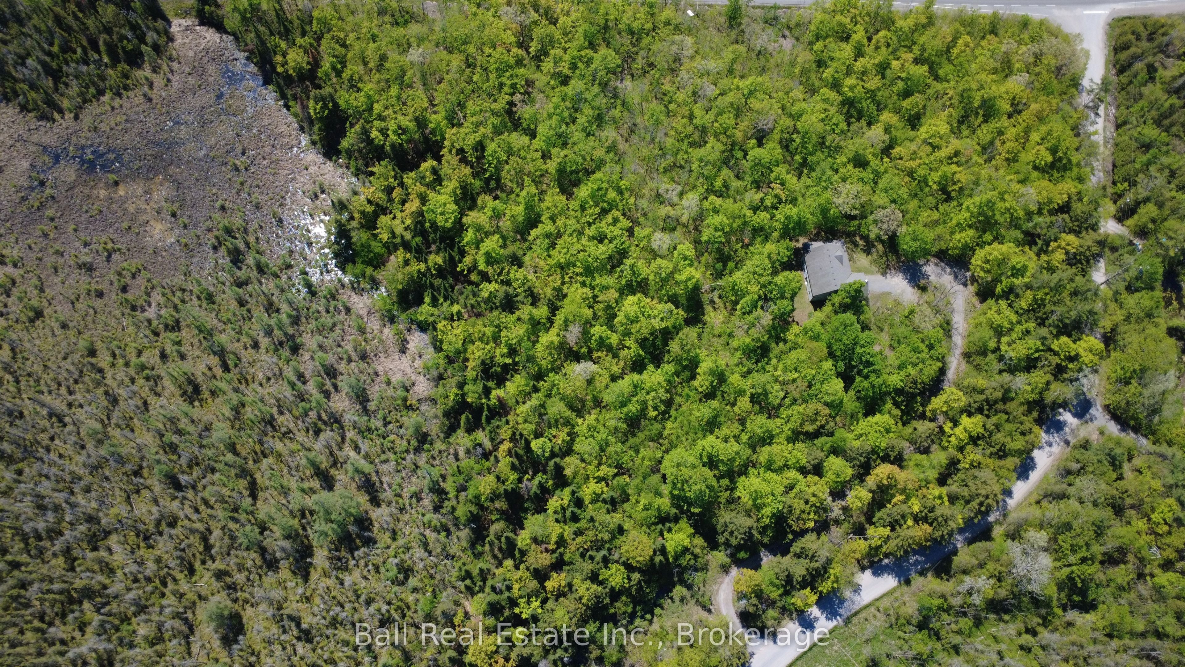 Additional image 5 of 53 Coon Lake Road, North Kawartha, ON, K0L 2H0