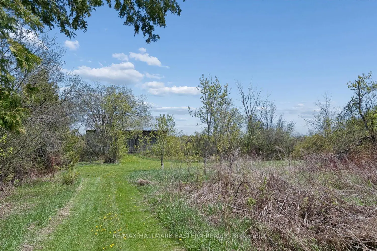 Additional image 12 of 906 Mount Horeb Road