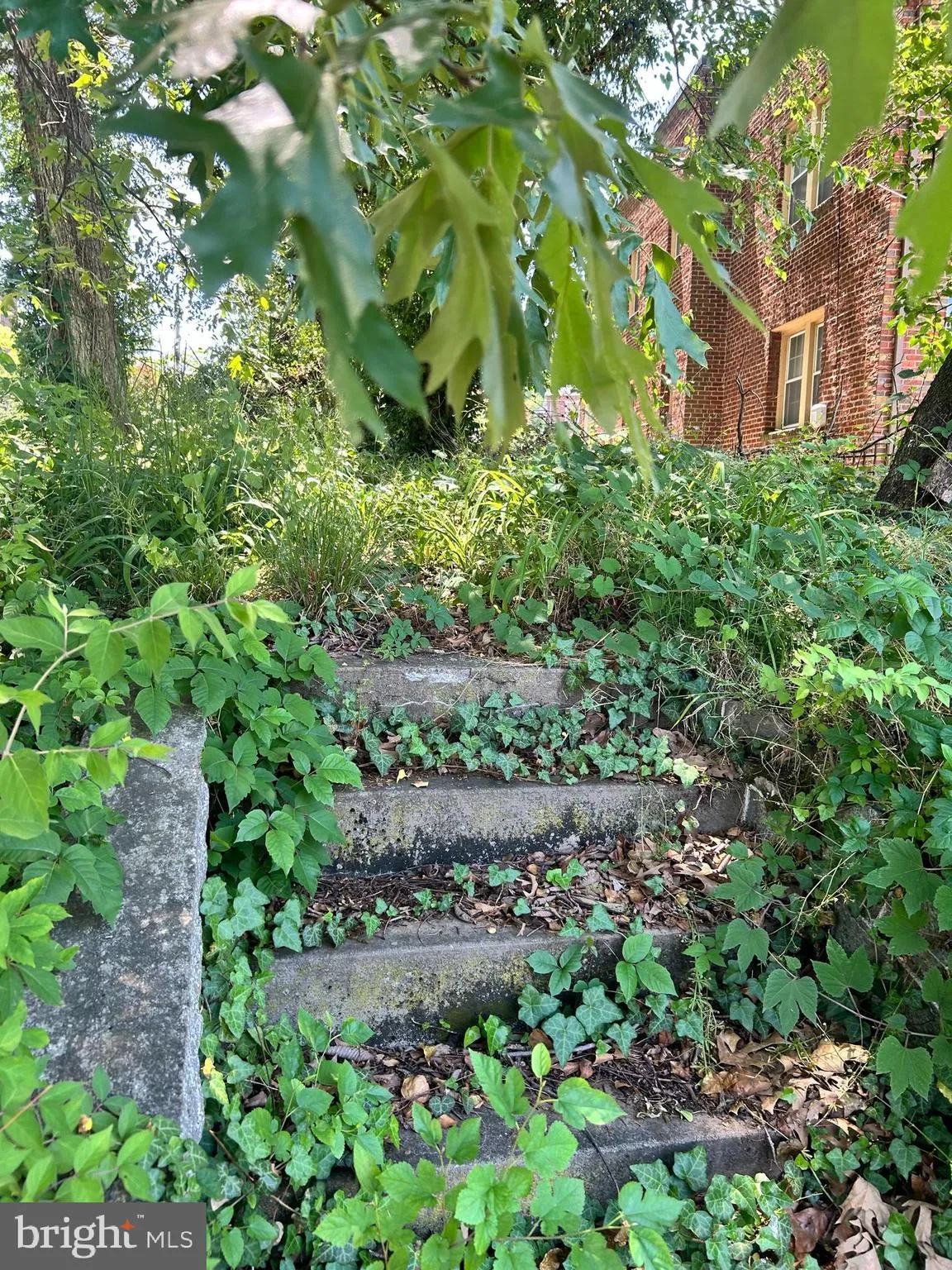 Additional image 10 of Randle Circle SE, Washington, DC 20019
