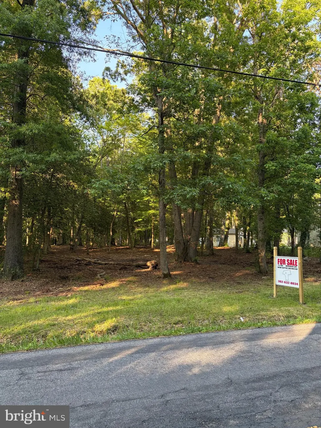 Additional image 6 of Mahan Corner Road, Marydel, DE 19964