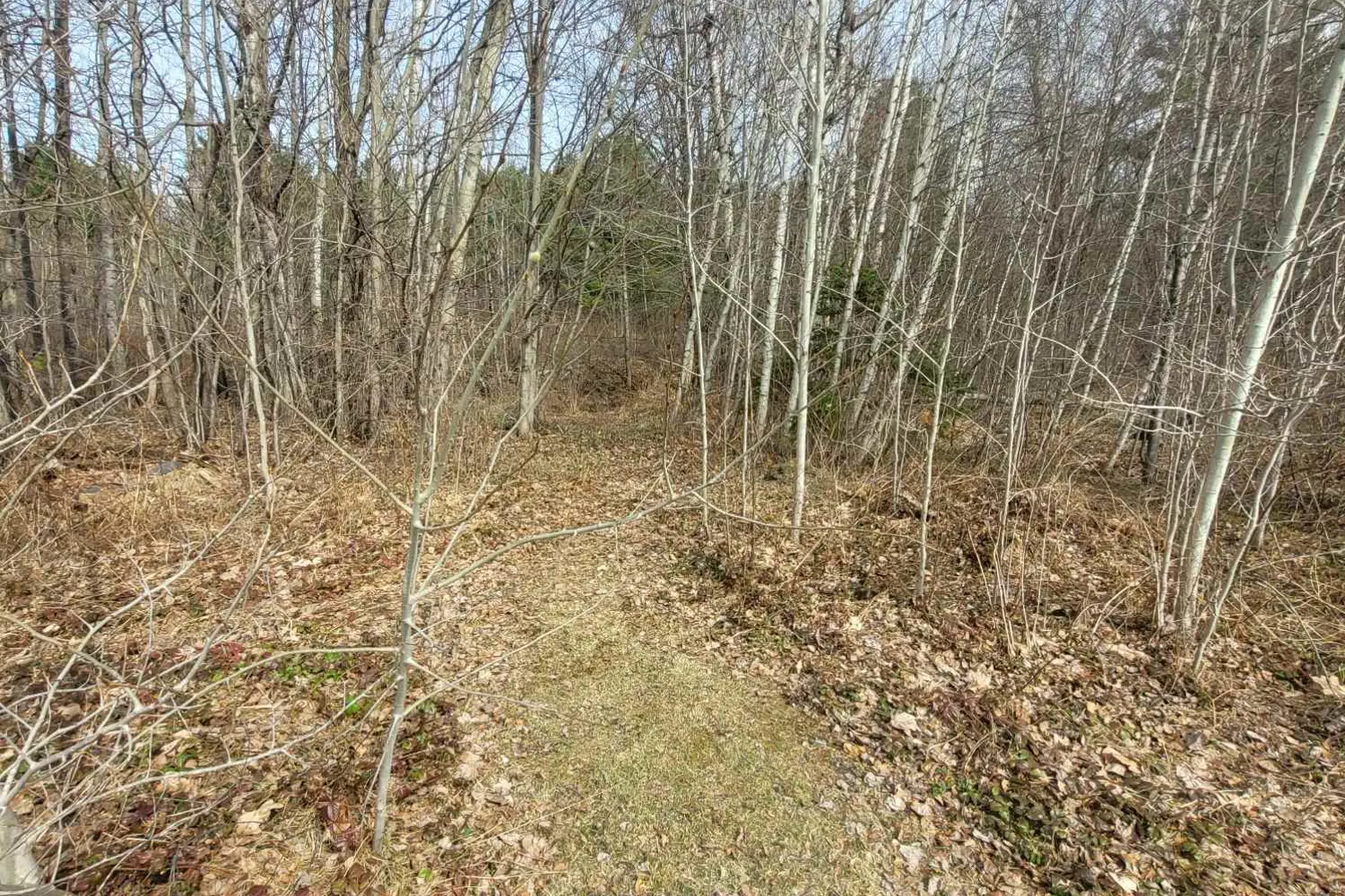Additional image 13 of 53 Beaver Lane