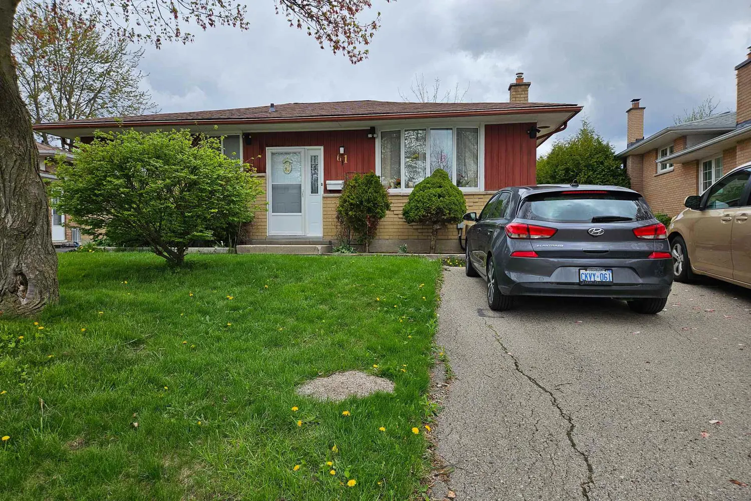 61 Alayne Crescent