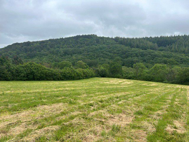 Additional image 4 of Land for saleLower Knappa - 10.35 Acres, Corymbia, Bickington, Newton Abbot TQ12