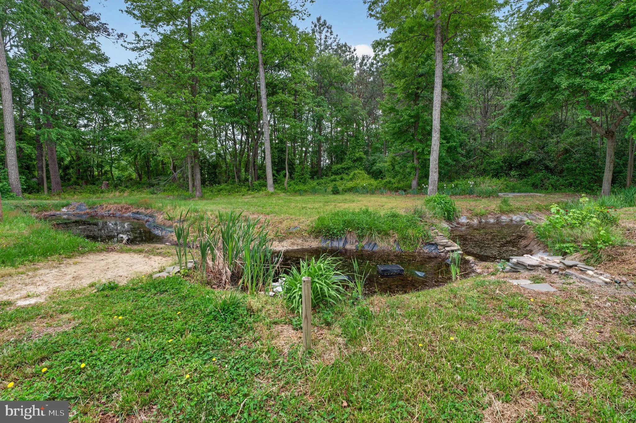 Additional image 76 of 14514 Tull Road, Greenwood, DE 19950
