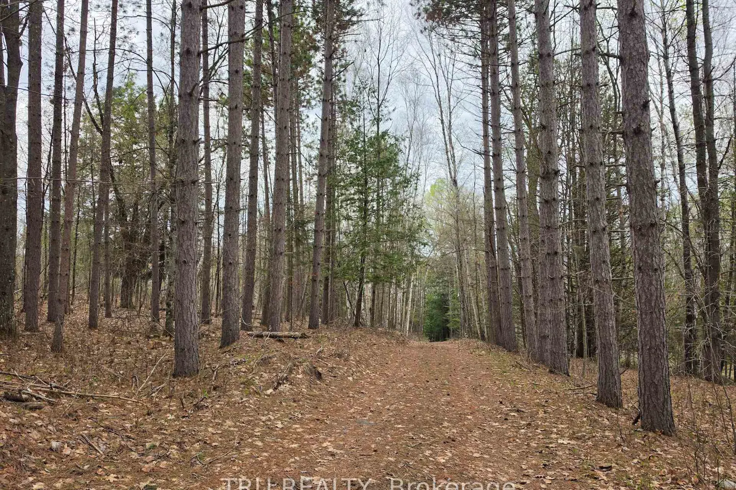 Additional image 17 of 952 Siberia Road