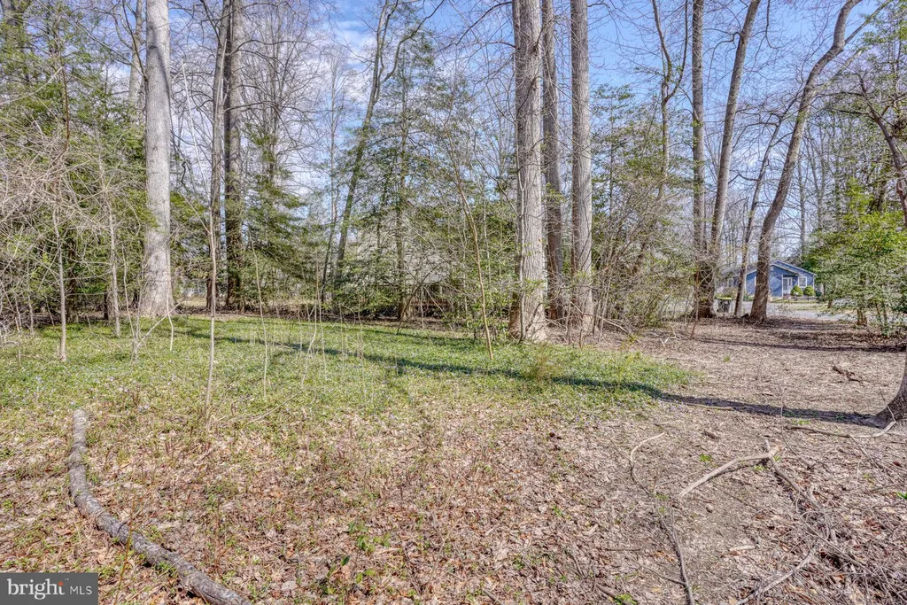 Additional image 9 of Woodland Way, Lewes, DE 19958