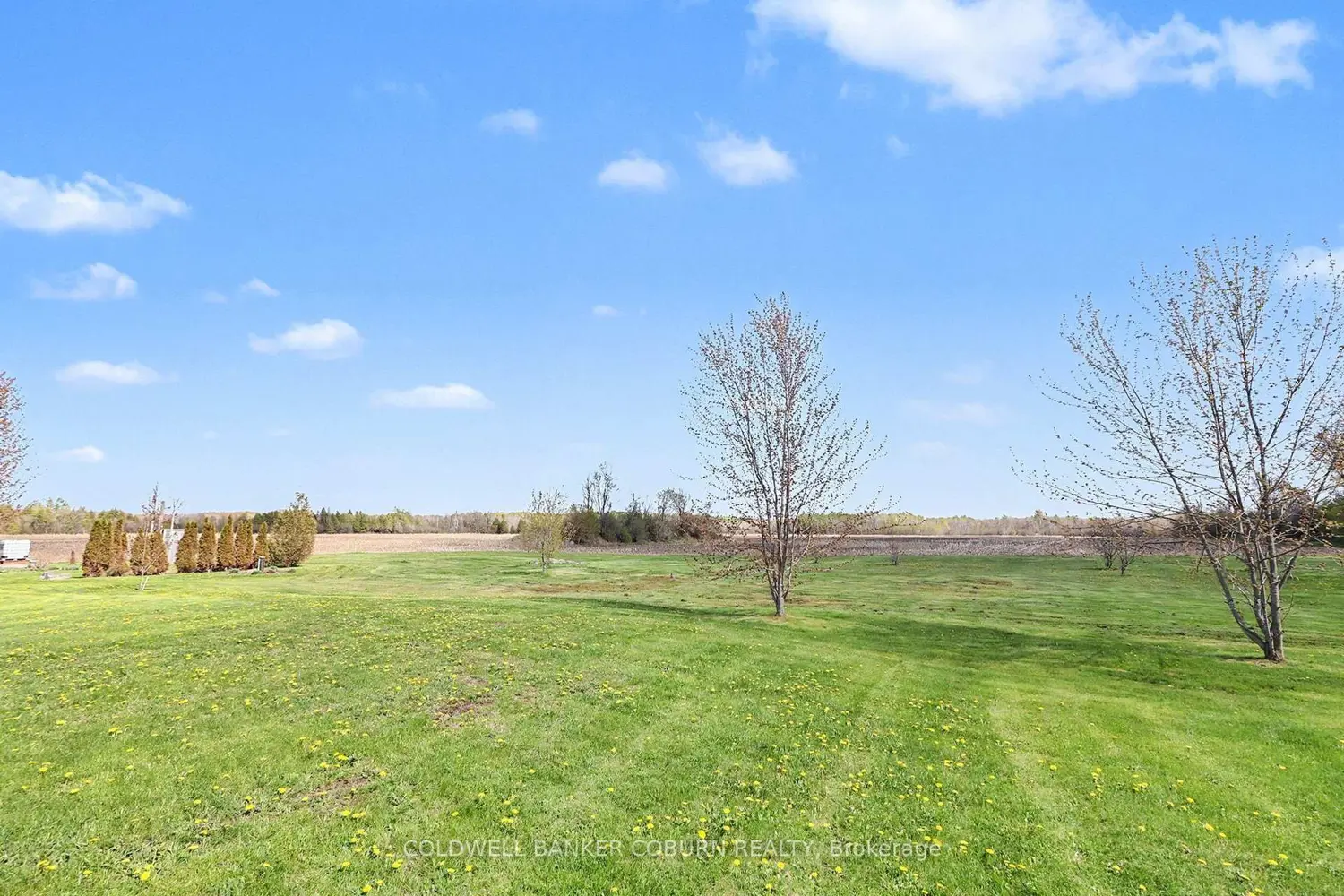 Additional image 16 of 3542 Beckstead Road