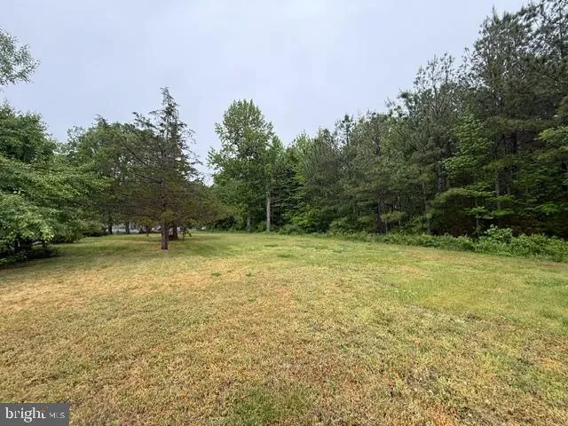 Additional image 70 of 49 Nevada Avenue, Harrington, DE 19952